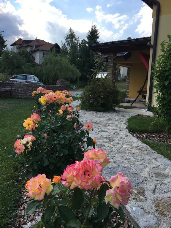 Omiljeni Apartments Zlatibor Kültér fotó