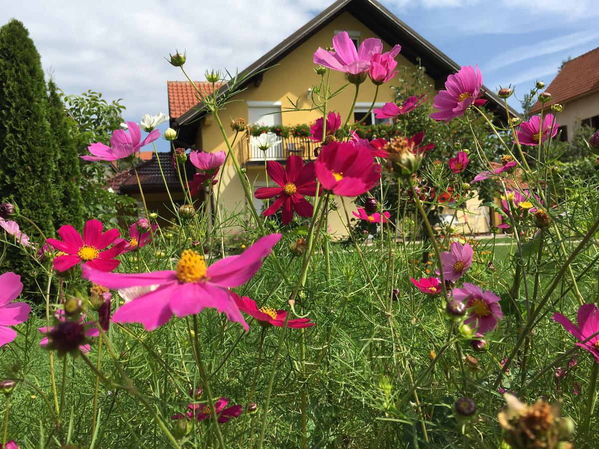 Omiljeni Apartments Zlatibor Kültér fotó