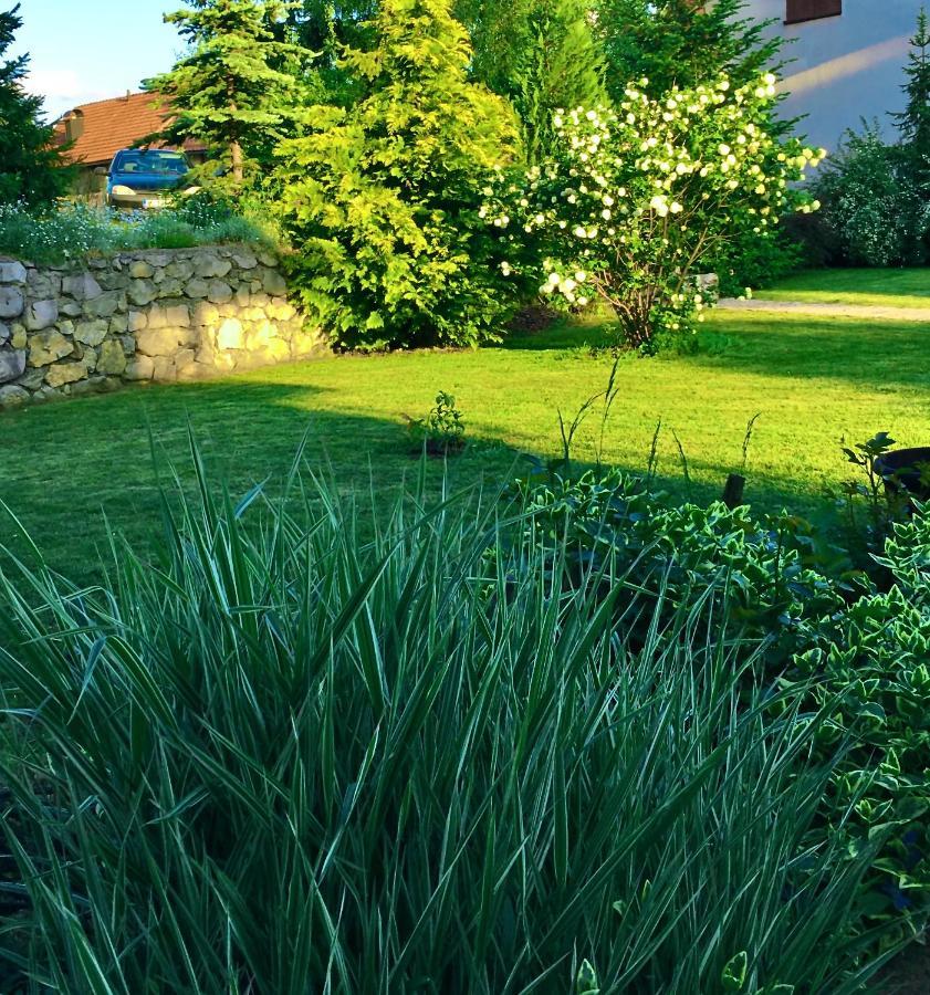 Omiljeni Apartments Zlatibor Kültér fotó